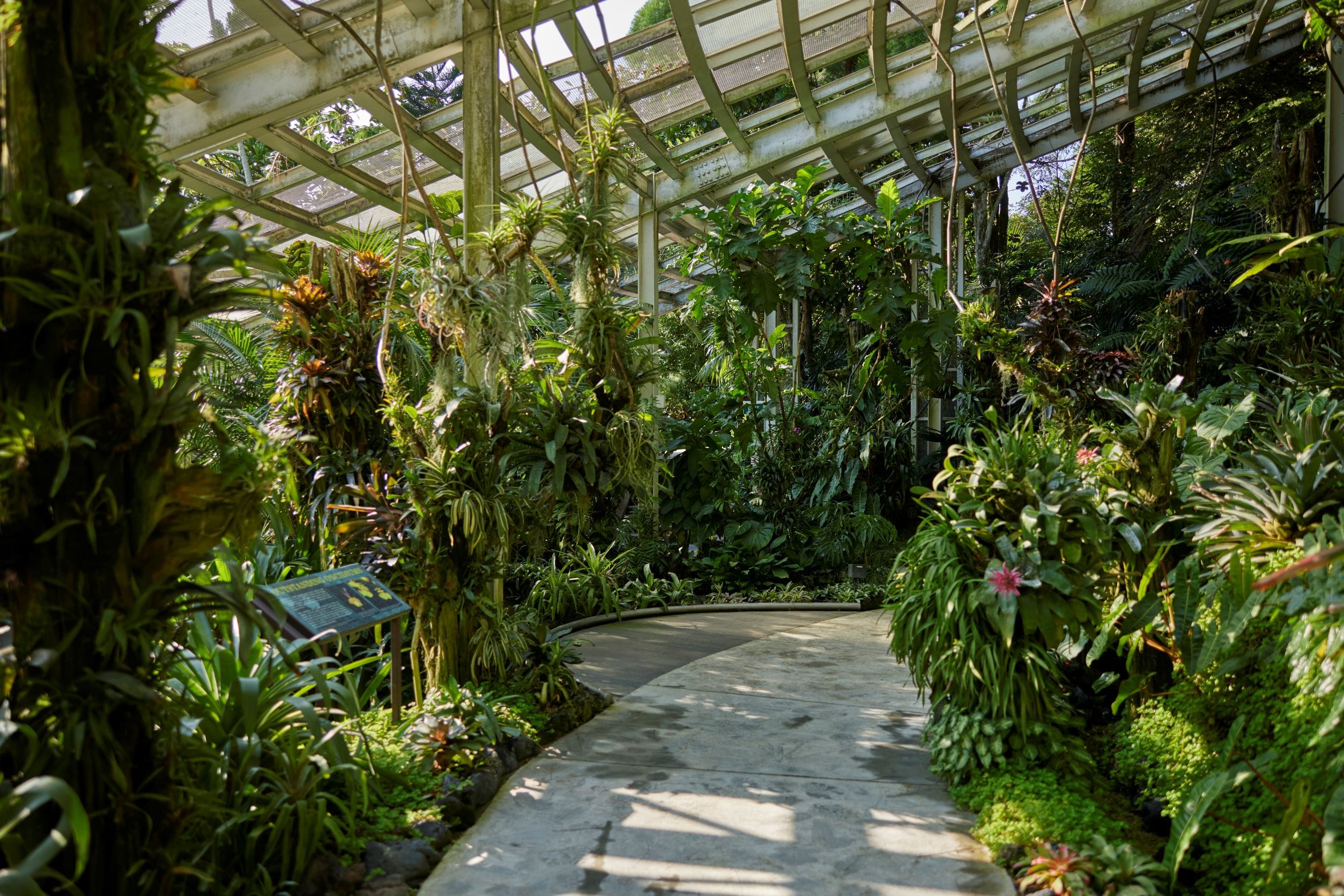 Yuen-Peng McNeice Bromeliad Collection